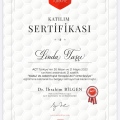 Resmi büyüt: certificate 2
