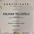 Resmi büyüt: certificate 7