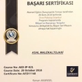 Resmi büyüt: certificate 8