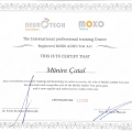 Resmi büyüt: certificate 2