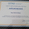 Resmi büyüt: certificate 2