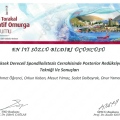 Resmi büyüt: certificate 9