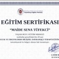 Resmi büyüt: certificate 1