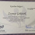 Resmi büyüt: certificate 12