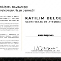 Resmi büyüt: certificate 9