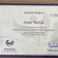 Resmi büyüt: certificate 9