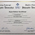 Resmi büyüt: certificate 1