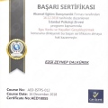 Resmi büyüt: certificate 2