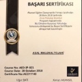 Resmi büyüt: certificate 4
