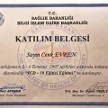 Resmi büyüt: certificate 19