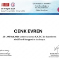 Resmi büyüt: certificate 29