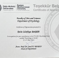 Resmi büyüt: certificate 15