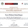 Resmi büyüt: certificate 25