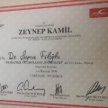 Resmi büyüt: certificate 8