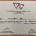 Resmi büyüt: certificate 10