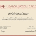 Resmi büyüt: certificate 8
