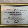 Resmi büyüt: certificate 31