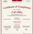 Resmi büyüt: certificate 13