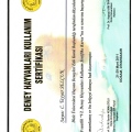 Resmi büyüt: certificate 2