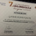 Resmi büyüt: certificate 13