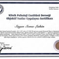 Resmi büyüt: certificate 6