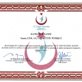 Resmi büyüt: certificate 21