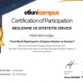 Resmi büyüt: certificate 14