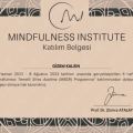 Resmi büyüt: certificate 2