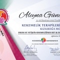 Resmi büyüt: certificate 3
