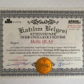 Resmi büyüt: certificate 30
