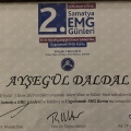 Resmi büyüt: certificate 10