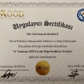 Resmi büyüt: certificate 3