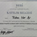 Resmi büyüt: certificate 6