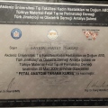 Resmi büyüt: certificate 25