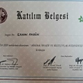 Resmi büyüt: certificate 9