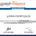 Resmi büyüt: certificate 4