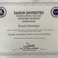 Resmi büyüt: certificate 2