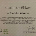 Resmi büyüt: certificate 1