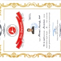 Resmi büyüt: certificate 50