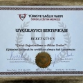 Resmi büyüt: certificate 7