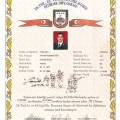 Resmi büyüt: certificate 27