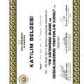 Resmi büyüt: certificate 4