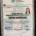 Resmi büyüt: certificate 20