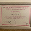 Resmi büyüt: certificate 23
