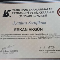 Resmi büyüt: certificate 11