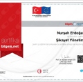 Resmi büyüt: certificate 17