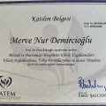 Resmi büyüt: certificate 1