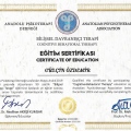 Resmi büyüt: certificate 7
