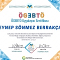 Resmi büyüt: certificate 16