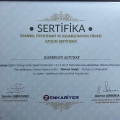 Resmi büyüt: certificate 15